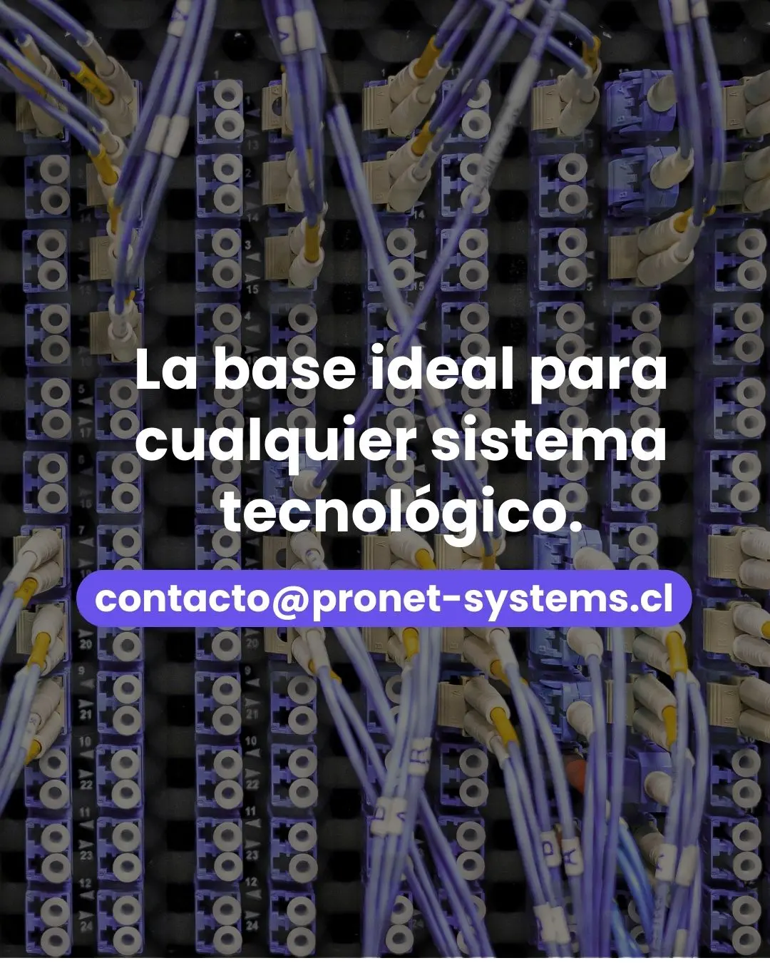 Reparacion Instagram